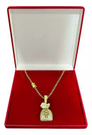 CORDÃO PITBULL ALONGADO 3mm + PINGENTE SACO DE DINHEIRO BANHADO A OURO 18K